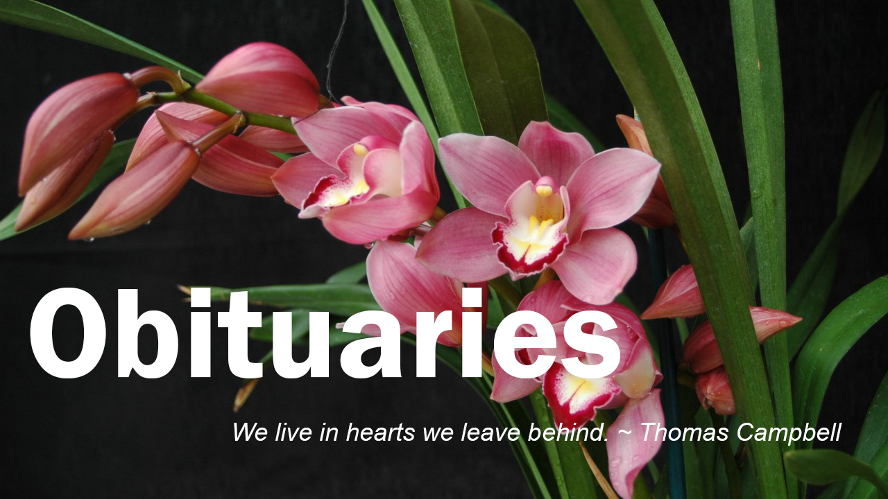 Obituaries Sun Times News Online