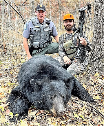 American Black Bear  Missouri Department of Conservation